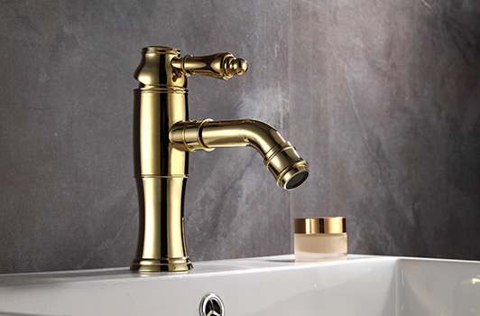 鼎新电热水器 欧式龙头