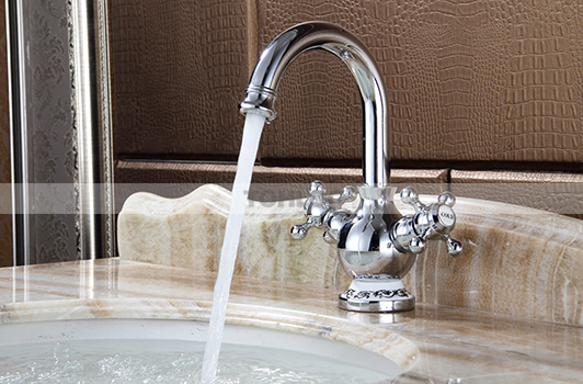 鼎新电热水器 欧式龙头