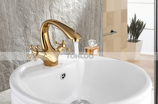 鼎新电热水器 欧式龙头