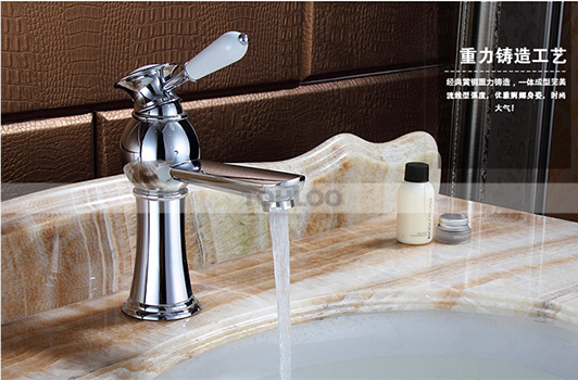 鼎新电热水器 欧式龙头