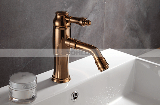 鼎新电热水器 欧式龙头