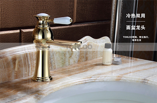 鼎新电热水器 欧式龙头