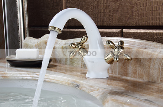 鼎新电热水器 欧式龙头