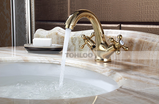 鼎新电热水器 欧式龙头